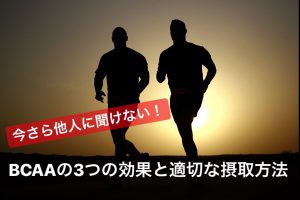 BCAAの3つの効果と適切な摂取タイミング【今さら聞けない】#34