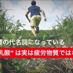 「乳酸が疲労物質である」というお話は嘘だった #37