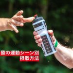 アルギニン・シトルリン効果と摂取量【アミノ酸のシーン別摂取法 】#39