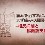 【相反抑制と協働筋支配】痛みを治す為に、まず痛みの原因を学ぶ #49