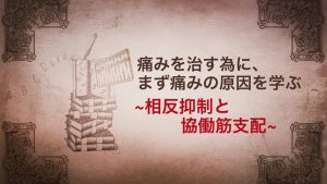 【相反抑制と協働筋支配】痛みを治す為に、まず痛みの原因を学ぶ #49