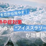 身体を芯から冷却!熱中症対策にポカリアイススラリーが効果絶大 #55