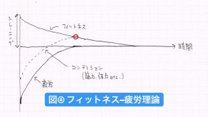 フィットネス疲労理論とピーキング
