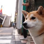 #108ブログの箸休め⑥『トイレットペーパー事件』~強風×紙の破壊力~