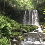 ブログの箸休め⑧『結婚ムービー、ダダスベり事件』~極寒の滝行の思ひ出~ #148