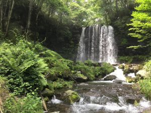 ブログの箸休め⑧『結婚ムービー、ダダスベり事件』~極寒の滝行の思ひ出~ #148