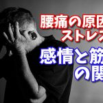 精神的ストレスが腰痛の原因？原因不明の痛みを改善する #167
