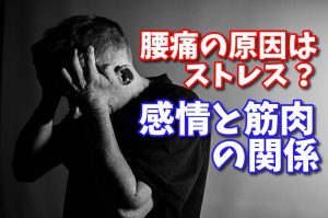 精神的ストレスが腰痛の原因？原因不明の痛みを改善する #167
