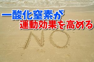 一酸化窒素の「血管拡張効果」が運動に与える影響？ #169