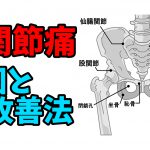 股関節の痛みと変形性股関節症が起こる2つの原因と改善方法 #179