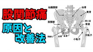 股関節の痛みと変形性股関節症が起こる2つの原因と改善方法 #179