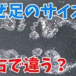 「足の大きさの左右差」がある原因は？#210
