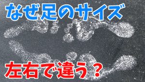 「足の大きさの左右差」がある原因は？#210