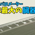 【人体最大の臓器】体調管理に重要なバロメーター#223