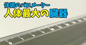 【人体最大の臓器】体調管理に重要なバロメーター#223