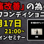 【12/17】オンラインセミナー「腰痛改善の為のセルフコンディショニング」#237