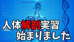 念願の人体解剖実習がスタートして【解剖学を生で学ぶ】#241