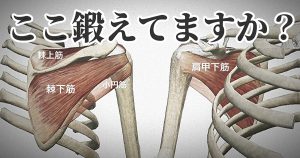 ローテーターカフの鍛え方「なぜ鍛えた方が良いのか？」#269