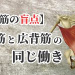 上半身だけ鍛える事で起こる問題【広背筋の盲点】#274