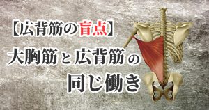 上半身だけ鍛える事で起こる問題【広背筋の盲点】#274