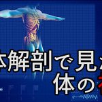 筋持久力をアップさせる為の「胸鎖乳突筋」の秘密 #289