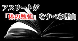 月間2万PVを超えたブログについて振り返る【雑記】#279