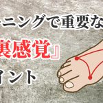 トレーニングに必要な足裏感覚【足裏の使い方】#286