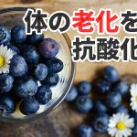 筋肉のミトコンドリアを増やす方法【老化防止】#298
