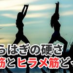 ふくらはぎの2種類の筋肉のストレッチ方法【腓腹筋・ヒラメ筋】#303